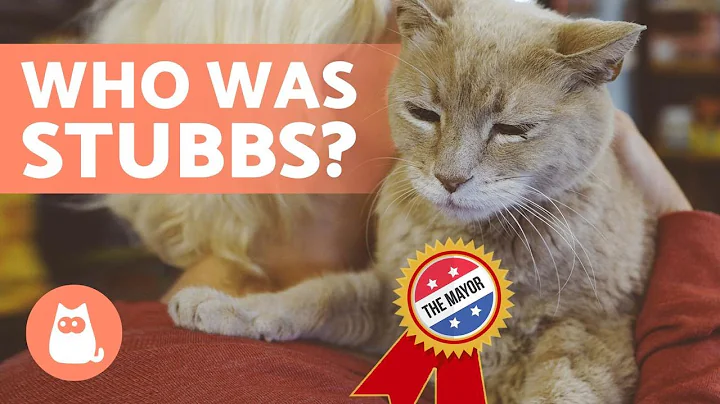 The CAT That Became a MAYOR in ALASKA  (Stubbs)