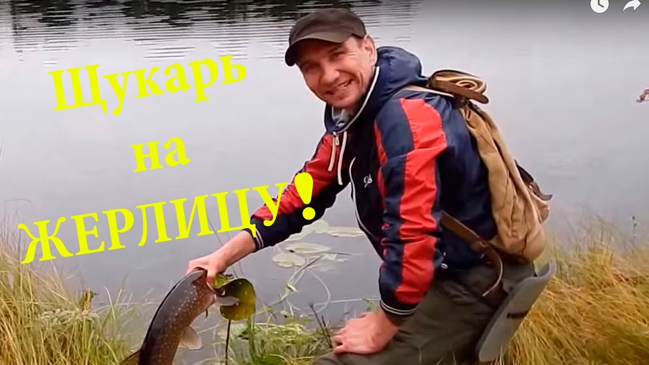 Щукарь на жерлицу летом #3