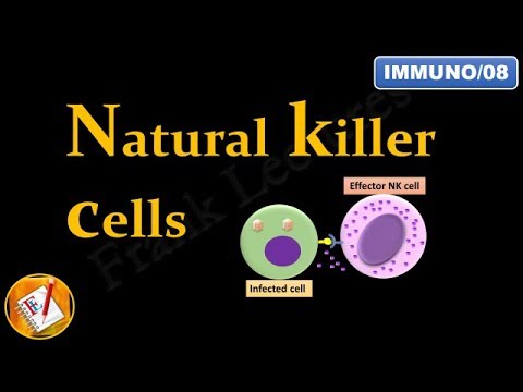 നാച്ചുറൽ കില്ലർ (NK) കോശങ്ങൾ (FL-Immuno/08)