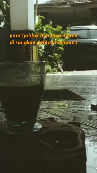 ngopi, story wa buat humoris yang dianggap bodoh beneran