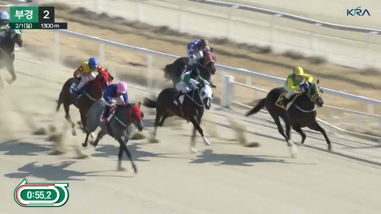 인기1위.서승운.졸전.김어수 연승10.8배.2위