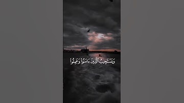 سورة الشورى الآيات{٢٥-٢٦} #المصحف #quran #اكسبلور #راحة_نفسية #لايك #حالات_واتس #دويتو #islamicholid