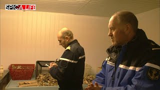ARNAQUE : des huîtres pas si fraîches que ça ! by SPICA LIFE 5,800 views 3 days ago 21 minutes
