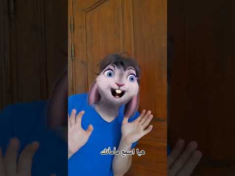 ثعلب في مزرعة السنجاب