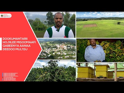 Dokimantarii Mojiilee Misoomaafi Qabeenya Aanaa Deedoo Mul Isu