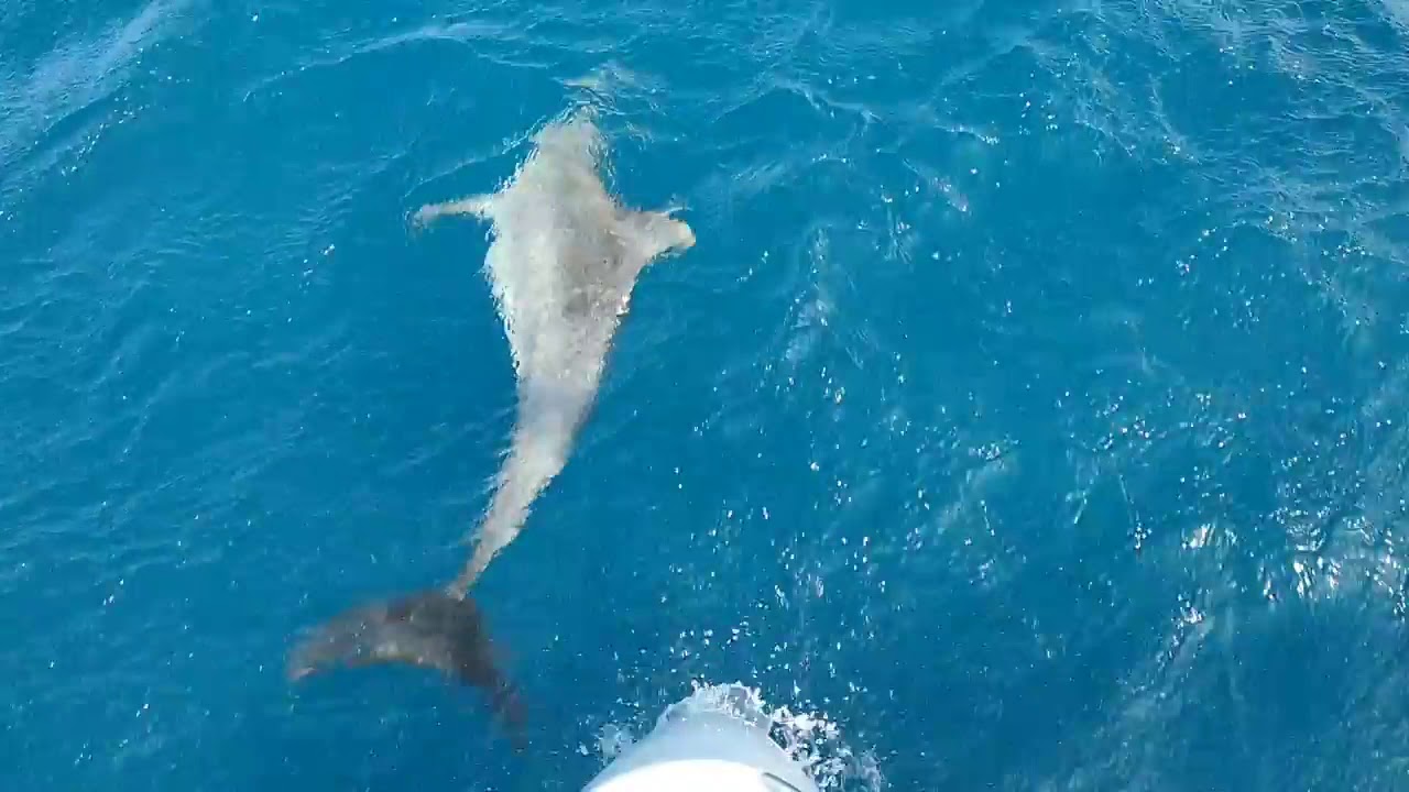 ⁣#41 jours de navigation entre Mamuju et Belitung en Indonésie