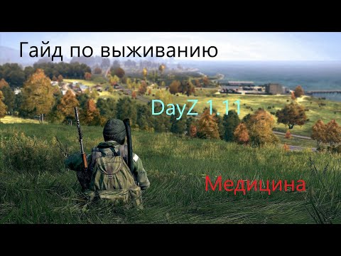 Video: DayZ Fick Just Sin Mest Meningsfulla Uppdatering På Månader