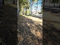 17 сентября 2024 г.