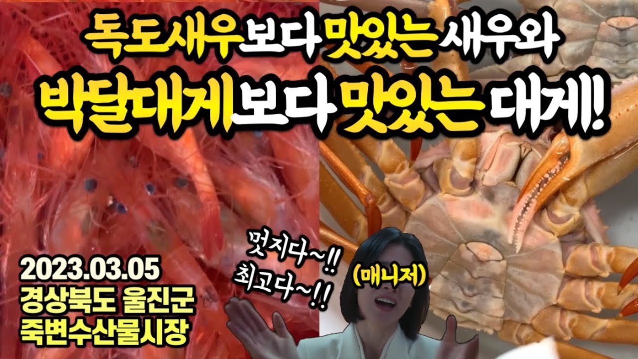 잠깐!!!그거 말고 이걸로!!!😱’최고급‘ 갑각류 싸게 즐기는 법😋갑각류 천국,죽변항!울진 여행 전 시청 필수!