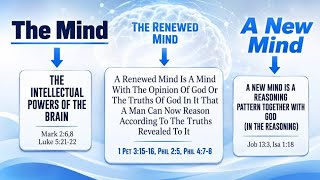 The Core of Man - Designed to function by the opinion of God