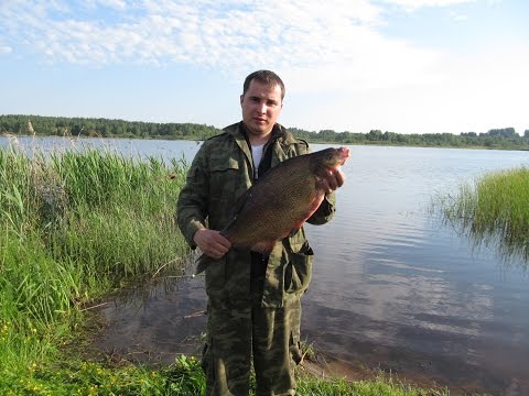 Очень крупный лещ / Very large bream