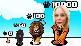 Yavru Bi̇r Kedi̇den Kaplana Dönüştük ? - Cat Evolution