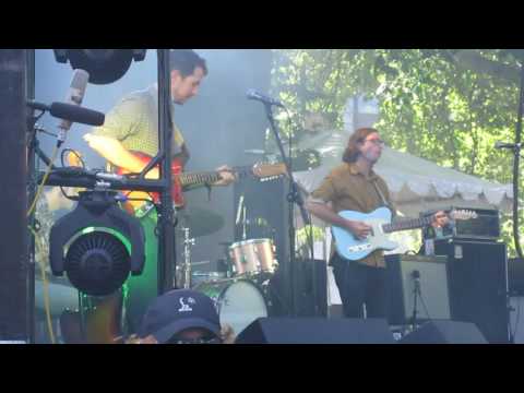 Martin Courtney - Awake - Pitchfork 2016 Chicago