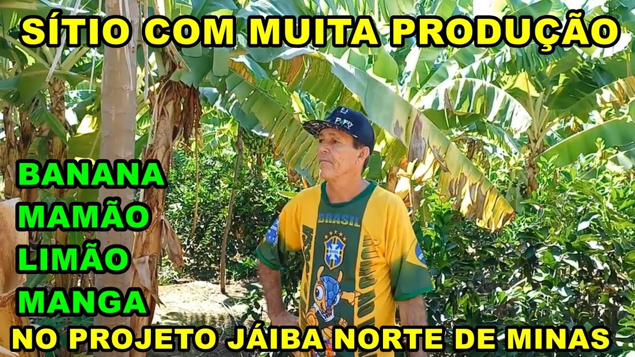 Sitio A VENDA NO PROJETO JAÍBA,Rico em Produção 200 mil no  NORTE DE MINAS