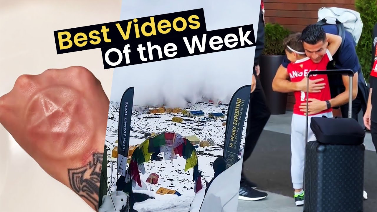 Viral Videos of the Week - YouTube