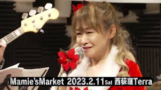 Mamie's Market2023/2/11ライブ西荻窪Terra篠塚満由美 来てね - YouTube