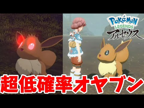 激レア 低確率のオヤブン 夢のブイズ大作戦 ポケモンレジェンズアルセウス Vlxx