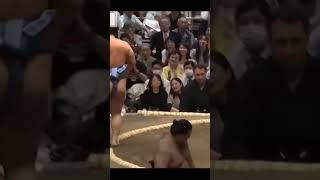 Roga VS Tubizaru Natsu Basho 2026 Sumo #sport #japan #сумо #япония #wwe #sumo #ufc #mma #борьба