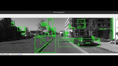 RoI-bounded Monocular Visual Odometry