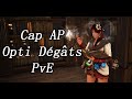 Bdo guide sur les cap ap et optimisation des dgts en pve