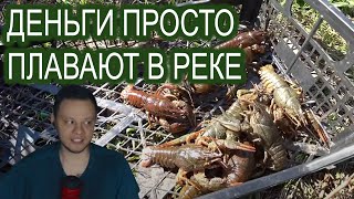 Сколько можно заработать на ловле раков? | Реакция WhoTheHellCares