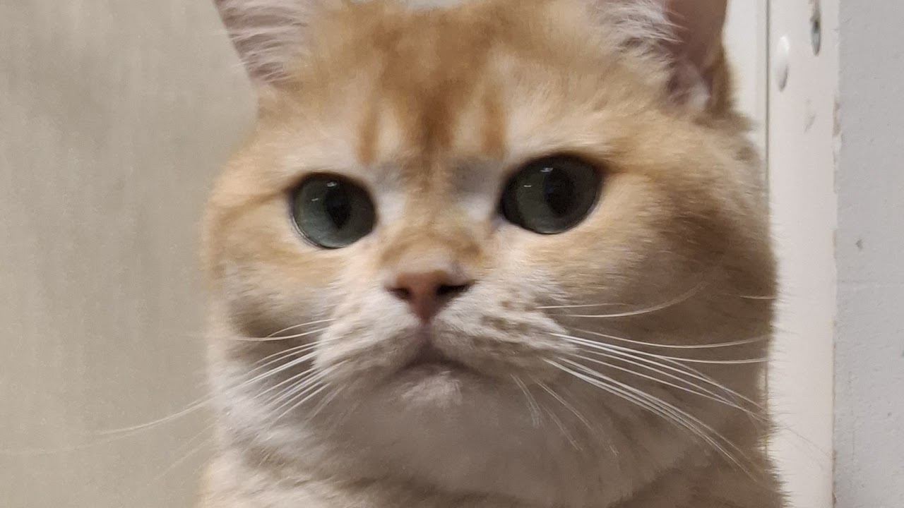 Залетел на вайп finebox !