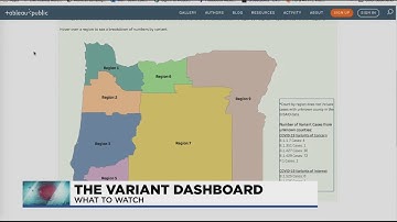 Tracking the different coronavirus variants