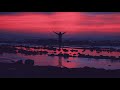 Utlob Al Ilm Muhammad Al Muqit أطلب العلم محمد المقيط و بدر الوسيدي English Subtitles 