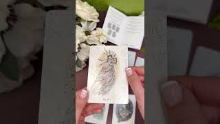 SNEAK PEEK! Faerie Pathways Oracle 🧚 @usgamessystems