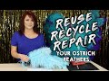 ZUCKER® Reuse, Recycle & Repair Damaged Ostrich Feathers | Feather Techniques & Feather Info