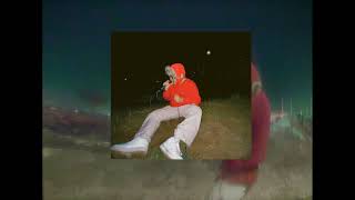 POST MALONE - INSANE COVER