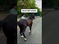 anant singh #shorts #shortsfeed #anantsingh #mokama