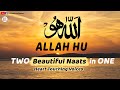ALLAH HU Relaxing Popular Naats In ONE Heart Touching Nasheeds Islamic Releases 