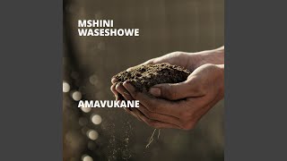 Seng Fikile