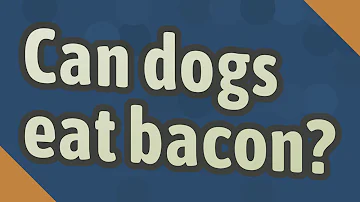 ¿Puede un perro comer beicon?