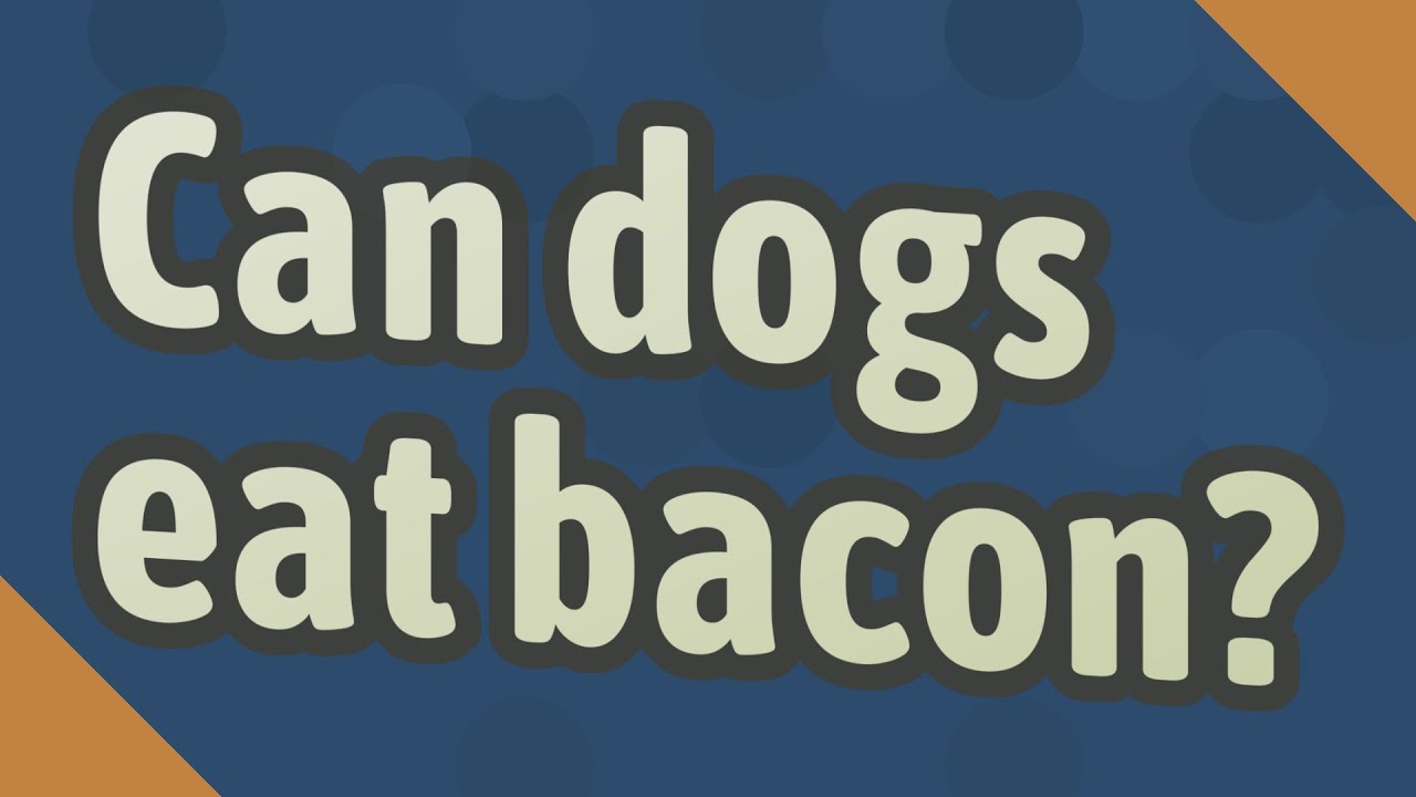 Can Dogs Eat Bacon?