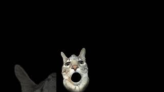 meau