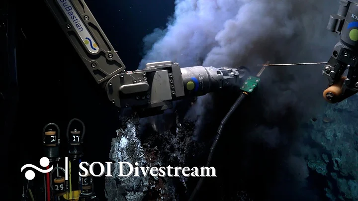Iguanas Hydrothermal Vent Field | SOI Divestream 563