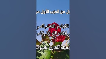 تلاوه جميله للقارئ ياسر سلامه #قرآن#السعودية#اكسبلور#تلاوات #راحة_نفسية#سورة#قران_كريم#تلاوة_خاشعة