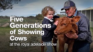 Five Generations Of Showing Cows At The Royal Adelaide Show