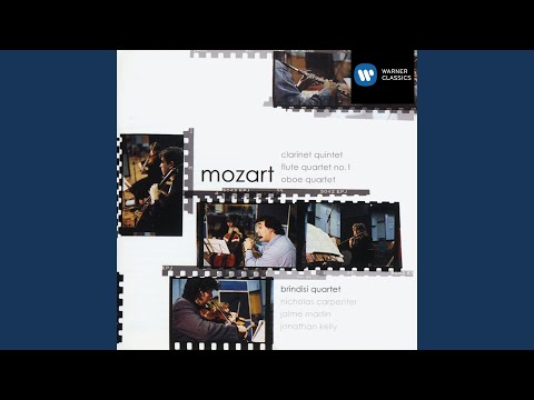 Flute Quartet No. 1 in D Major, K. 285: II. Adagio