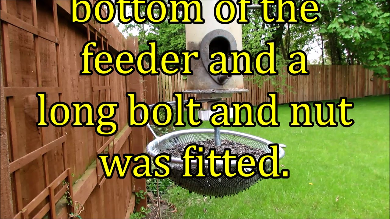 Niger Seed Feeder with DIY seed saving attachment.