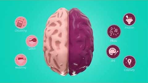 MIP - Multiple Intelligence Program