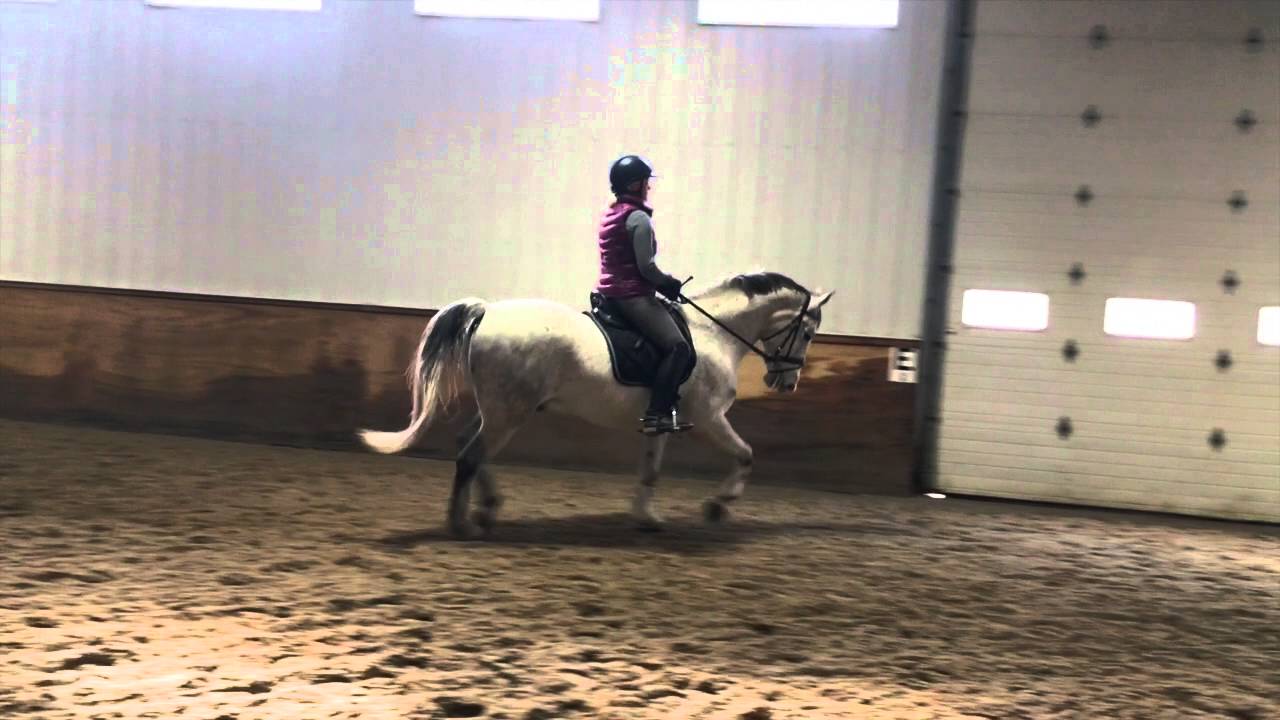 Becky Rutkowski & Favory Astorria - Musical Freestyle Clinic 2016 - YouTube