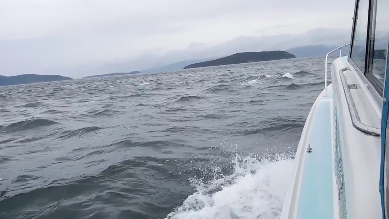 Early May Cruise in the San Juans