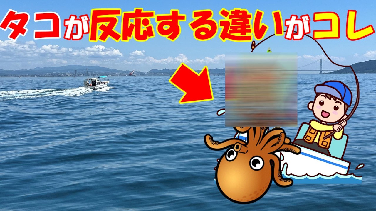 【明石タコ攻略】ルアーは“組み合わせ”で差が出る!釣果アップ実践術