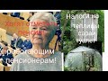 Налоги в 2022 году на теплицы, сараи, туалет! Необычный воришка попался в Омске!