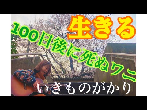 【100日後に死ぬワニ】生きる/いきものがかり cover ギター弾き語り。桜の下で。