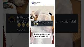 Biri Osursa Tüm Ortam Dağılır