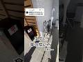 【逆再生】傘ジャグラーのパフォーマンス動画です